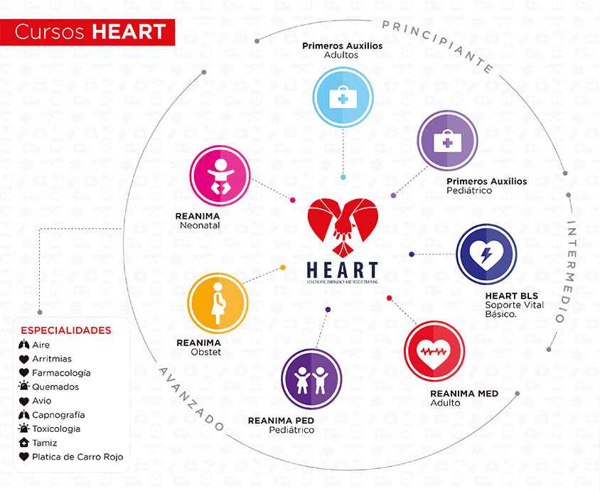 Inforgrafia HEART
