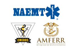 Curso Adiel Pit Crew